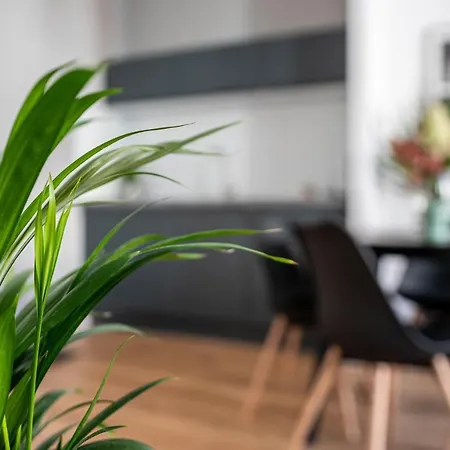 Kamienica1899 Apartment