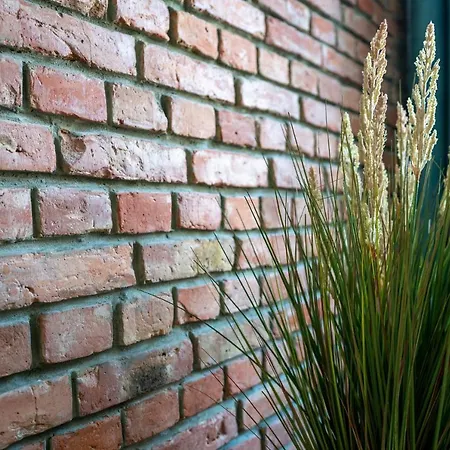 Daire Kamienica1899 Szczecin