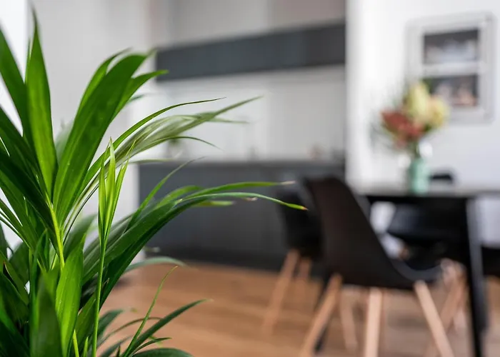 Kamienica1899 דירה